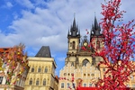 Тур «Прага - Вена - Дрезден - Моравский крас - Галереи Велички» 8 дней