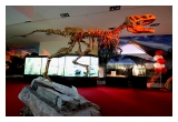 Экскурсия в палеонтологический музей, Москва: Однодневная экскурсия