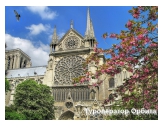 Париж 7 дней - авиатур: Собор Парижской Богоматери